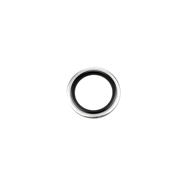 00036-04 1/4" BSP PARALLEL BONDED SEAL