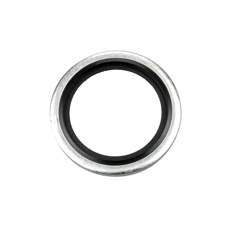 00036-10 5/8" BSP PARALLEL BONDED SEAL