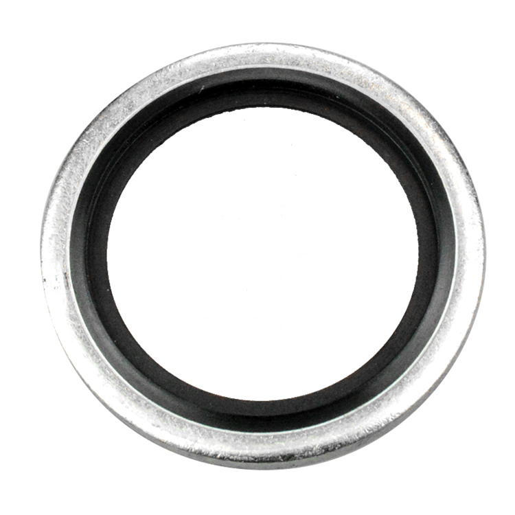 00036-16 1" BSP PARALLEL BONDED SEAL