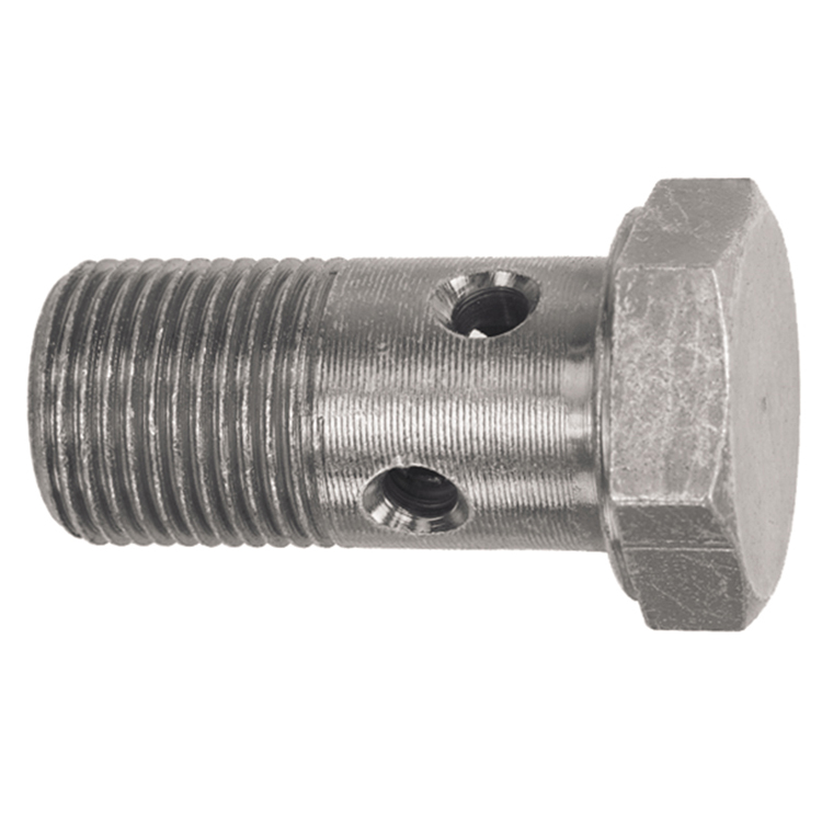 25000-04 1/4" BSP PARALLEL BANJO BOLT