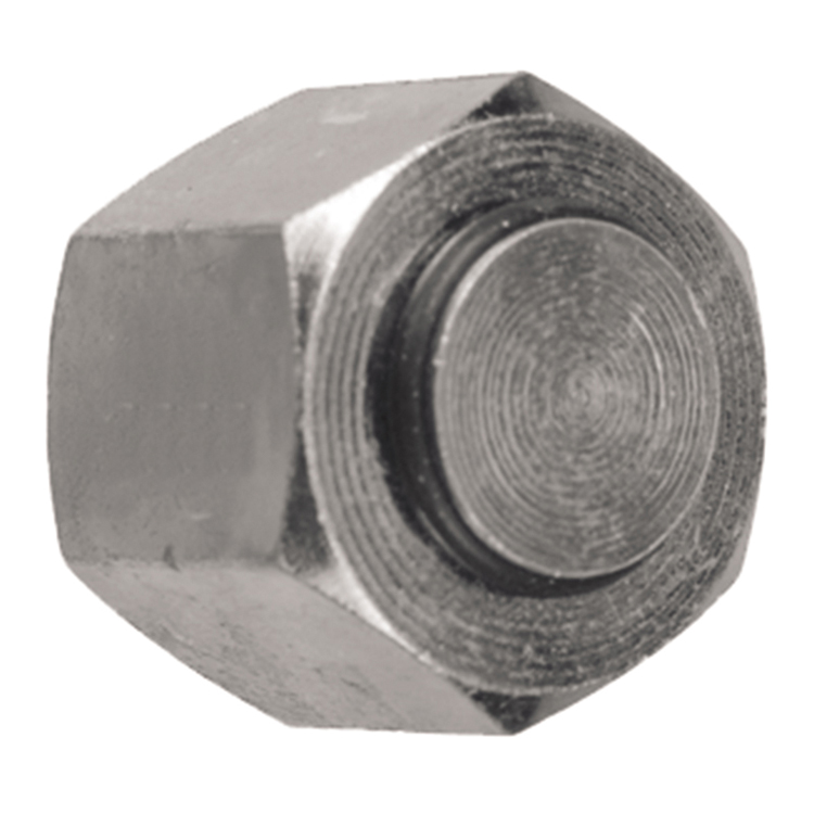 25000-16 1" BSP PARALLEL BANJO BOLT