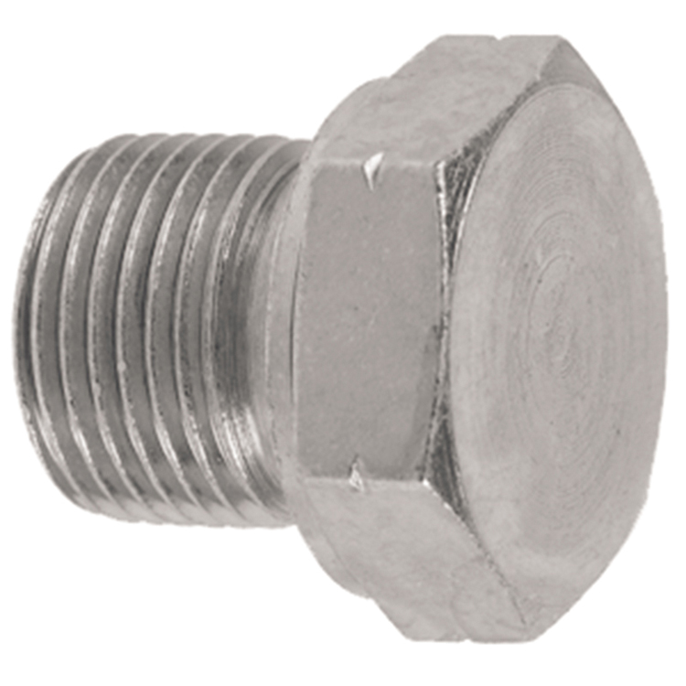 36000-04 1/4" BSP PARALLEL HEX PLUG