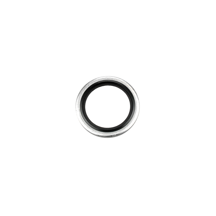 00072-06 6 MM I.D. BONDED SEAL FOR METRIC PORT