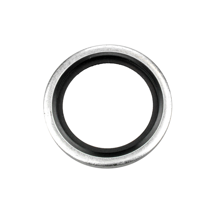 00072-18 18 MM I.D. BONDED SEAL FOR METRIC PORT