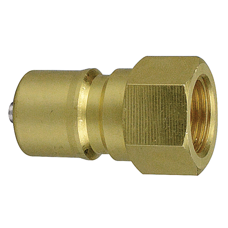 C102CC-04 1/4" BRASS CARPET CLEANING NIPPLE WITH FEMALE PIPE (NPTF) THREAD & STAINLESS STEEL POPPET