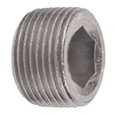 38000H-06 3/8" BSP TAPERED HOLLOW HEX PLUG