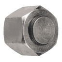 25000-16 1" BSP PARALLEL BANJO BOLT