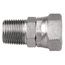 26016-02-02 1/8" FEMALE BSP PARALLEL TO 1/8" MALE PIPE (NPTF) CONNECTOR