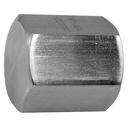 0800-12 3/4" STEEL PIPE (NPTF) CAP