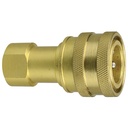 C101CC-04 1/4" BRASS CARPET CLEANING COUPLER WITH FEMALE PIPE (NPTF) THREAD & STAINLESS STEEL POPPET