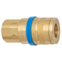 C20-23B 1/4" BRASS INDUSTRIAL COUPLER WITH 3/8" FEMALE PIPE (NPT) THREAD